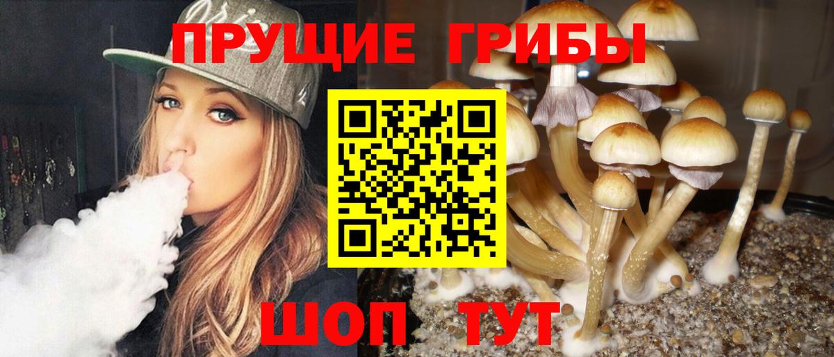 Уварово  Псилоцибиновые грибы GOLDEN TEACHER  Вход с VPN  Галлюциногенные грибы мицелий 